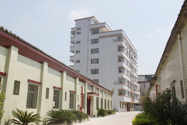 新建大樓