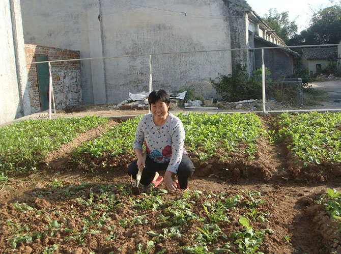 環(huán)保小菜園